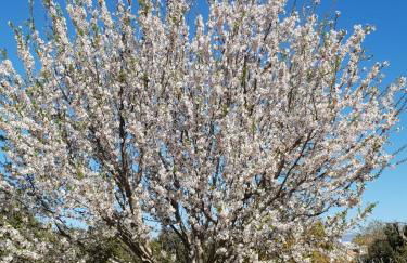 le Gecko en Provence - Foto 40