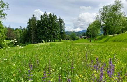 Mountain Apartment Rododendro - Foto 40