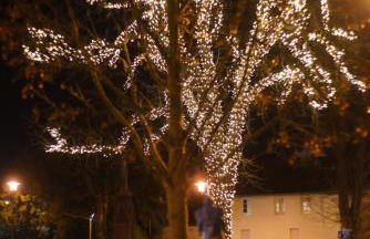 Ferienwohnung Ahrtalblick - Foto 73