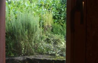 Acquavilla - Foto 62