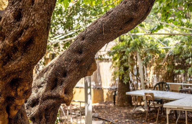 Cozy Charm STU Haifa CTR by Sea N' Rent - Foto 24