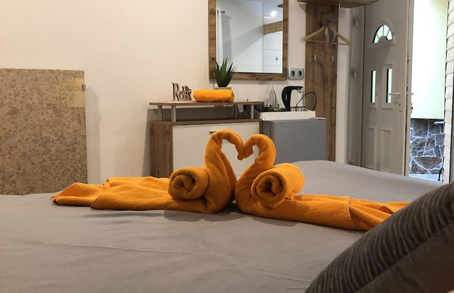 Apartments and wellness center Korošec - Foto 22