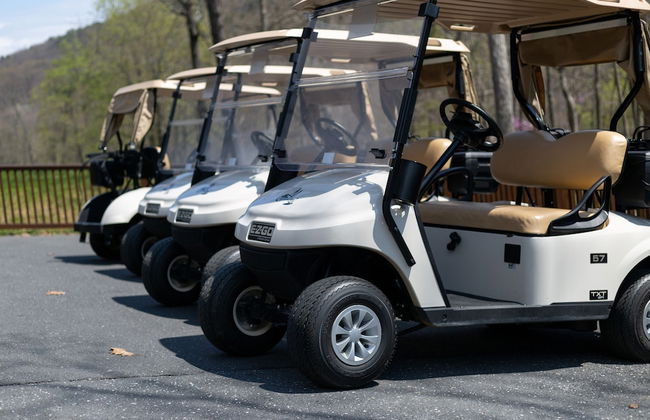 Massanutten's Woodstone Meadows by Tripforth - Foto 79