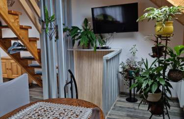 Noclegi u Babci Gieni - Foto 24