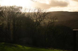 The Squirrel - Foto 27