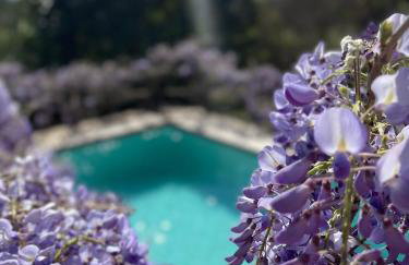 L'annexe du domaine de brisset - Foto 42