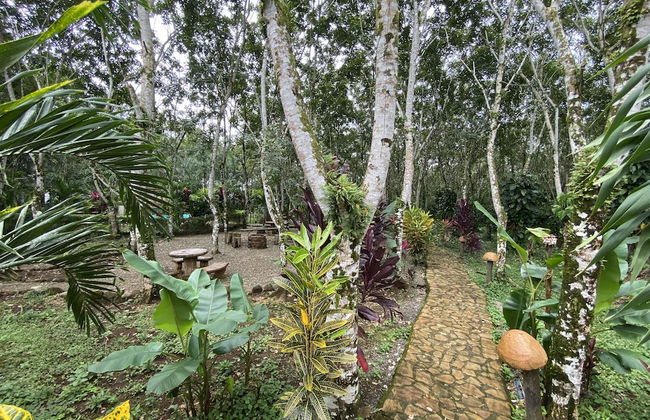 Eco Hotel Pata Palo - Foto 15