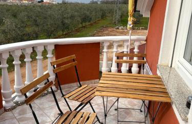 apartma Jelka - Foto 61