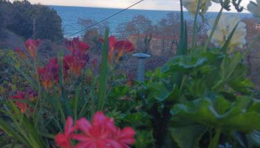 Villa Gialos Ηλέκτρα - Foto 3