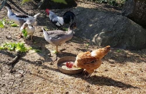 Casinha da Lareira - Quintinha dos Cavalos- Arruda dos Vinhos - Foto 39