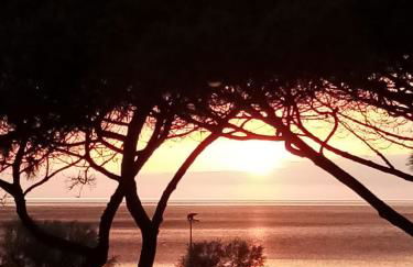 Le Maree Marina - Foto 15