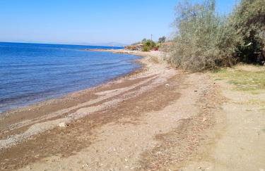 erofili apartments - Photo 47