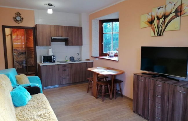 Apartamenty Sun & Snow Willa Hania - Foto 12