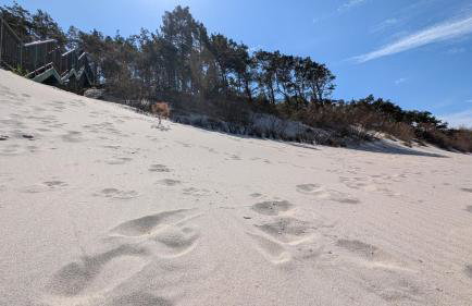 Apartamenty Morze Wygody - Foto 19