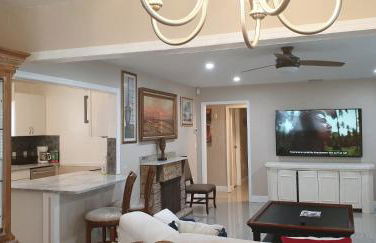 Beach Anchor Palm - Foto 4