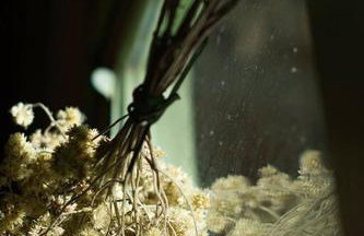 Alugo minha casa na floresta! - Foto 38