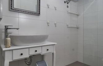 Aspidistra Shadow - Foto 15