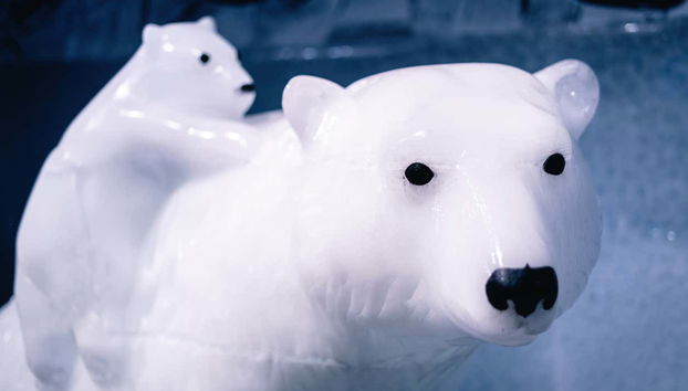 Berlin Icebar Ticket - Photo 5, Admire the polar bear ice sculptures