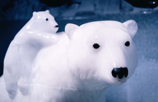 Berlin Icebar Ticket - Photo 5