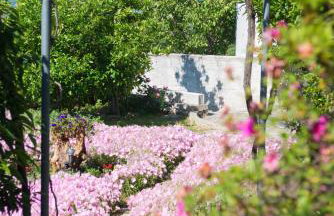 Mikros Paradisos Pelion - Foto 17