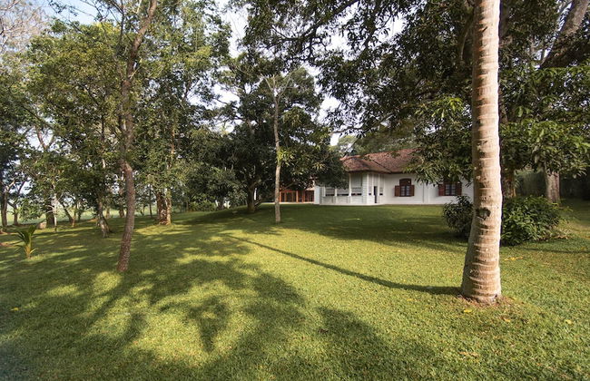 maya tangalle - Photo 34