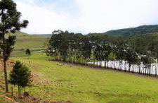 Cabana Santa Cruz - Foto 15