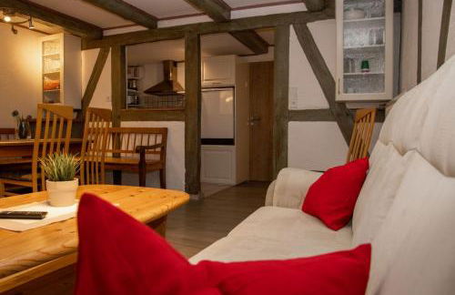 Xavers Ranch - Foto 15