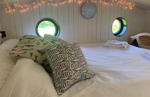 Oak Tree Lodge: Unique 2 level Shepherd's Hut: Dartmouth - Foto 18