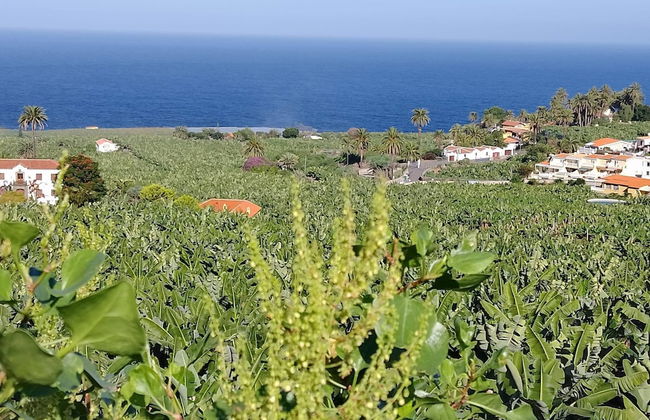 San Felipe House With Views Of Teide - Photo 6