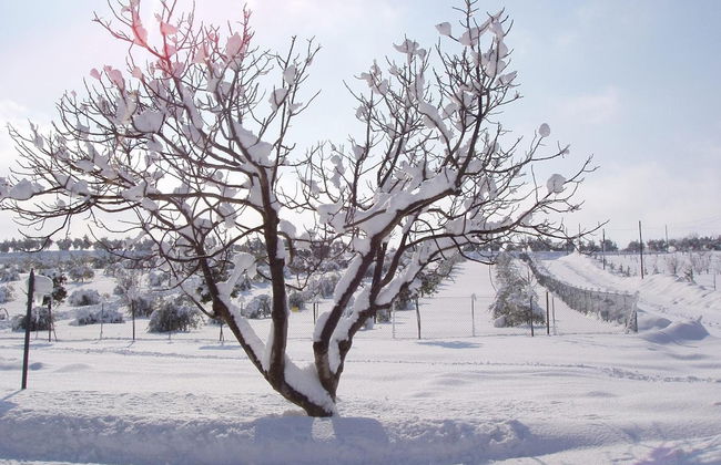 Agriturismo Le Bucoliche - Foto 51
