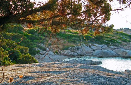 Hotel Porto Piccolo - Foto 18