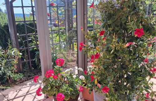 Ferienwohnung Fichtelwald - Foto 64