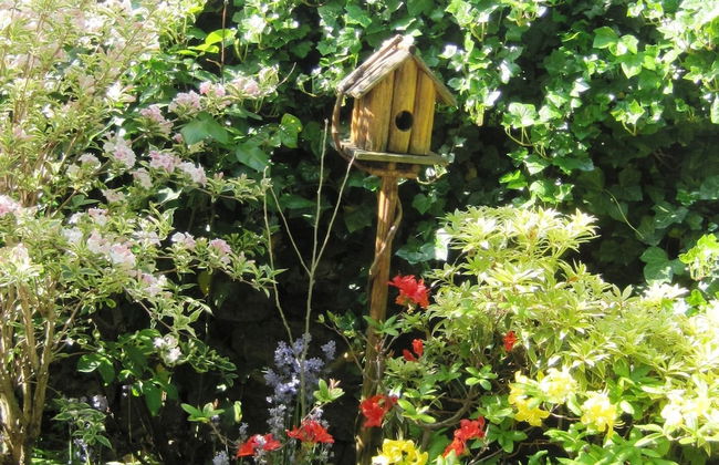 Charming Cottage in a Farm With Views - Foto 35