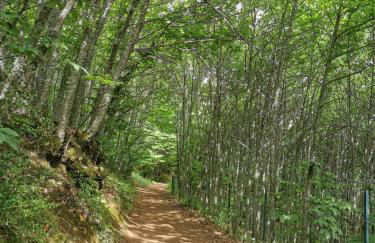 Casa Rural El Palomar - Foto 45