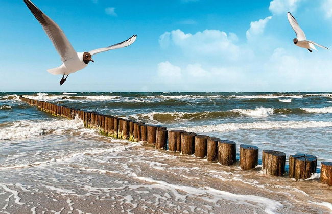 Cottage in Rusinowo Near Seaside Beach - Photo 13