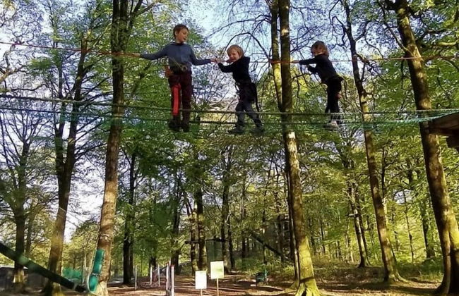 Etape en forêt - Foto 67