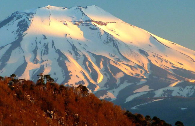 Trekking de ascenso al volcán Lonquimay - Foto 5