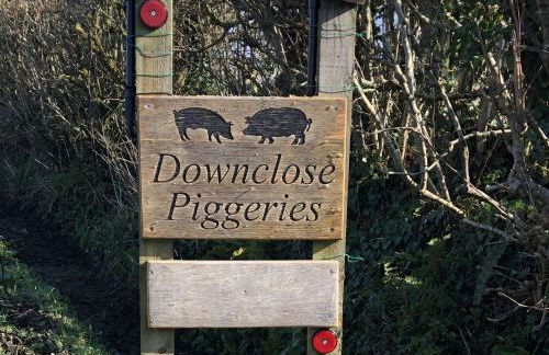 Downclose Piggeries - Photo 7