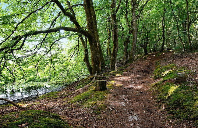 5 Person Holiday Home in Skanderborg-by Traum - Photo 4