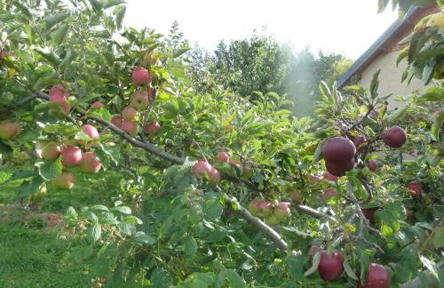 Appartement Barcelonnette Ubaye, Provence - Foto 23