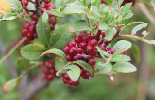 Case di Berto - Foto 18