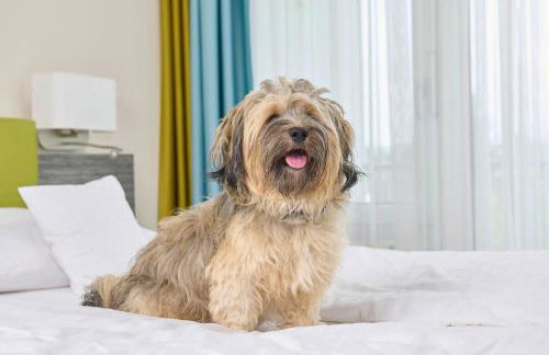 MASEVEN Stuttgart SI Centrum ehem SI-SUITES - Foto 52