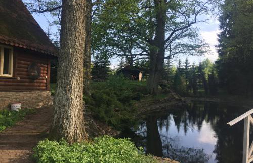 Chata Baby Jagi - Foto 14