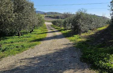 Tenuta degli Ulivi - Dimora Contadina - Foto 63