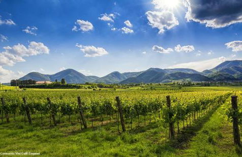 Coccolo a 10 minuti da Padova centro - Giusi - Foto 41