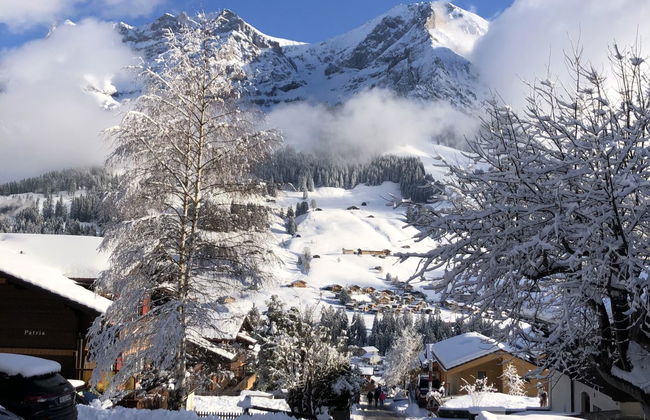 Sunnegruess - Foto 27