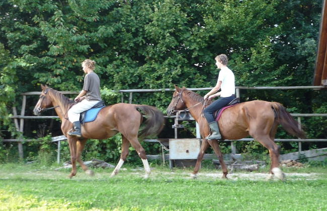 Kerca Bio Farm - Photo 51