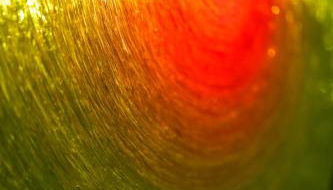 LΛ DIMӨRΛ di KΛMΛ' - Foto 4