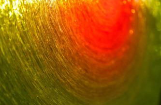 LΛ DIMӨRΛ di KΛMΛ' - Foto 4