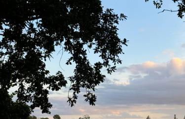 Ferienwohnung und Pension Knabbe - Foto 28